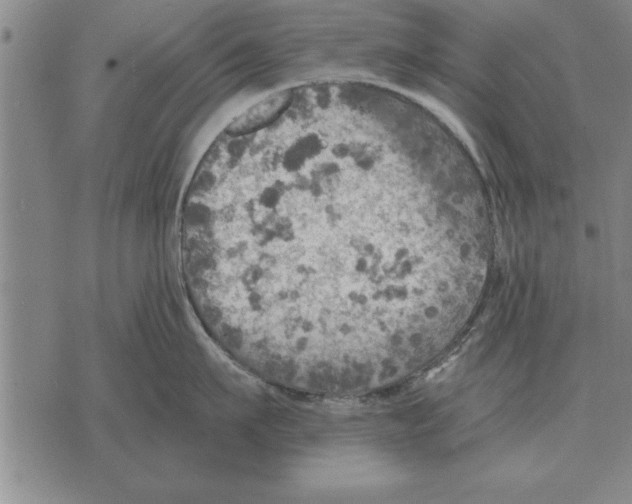 X0000075870911200610151657