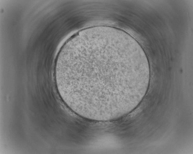 X0000075870912200610151657