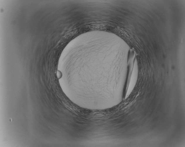 X0000075870913200610151656