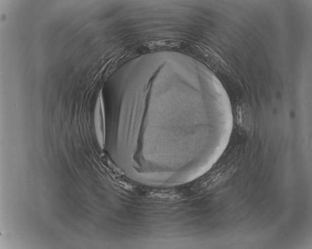 X0000075870915200610151656