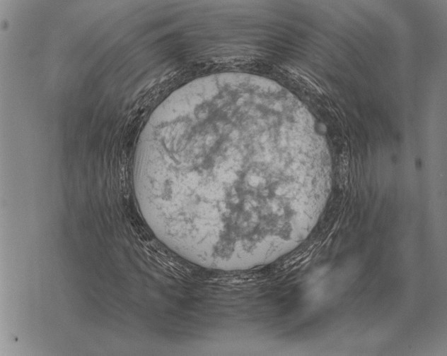 X0000075870917200610151656