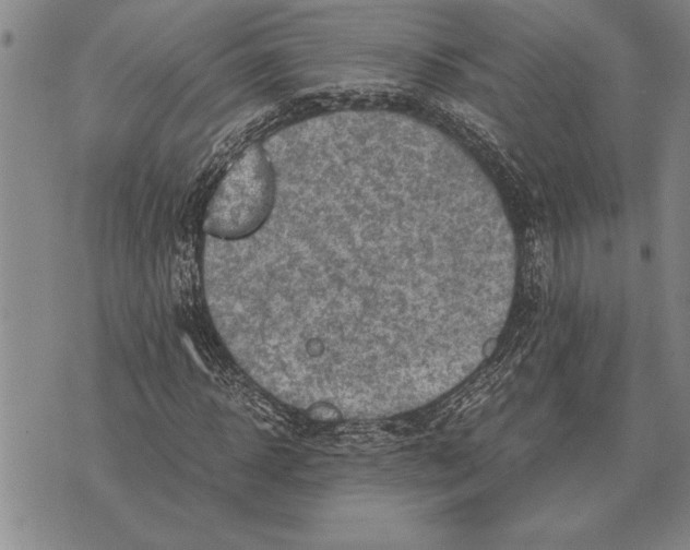 X0000075870918200610151656