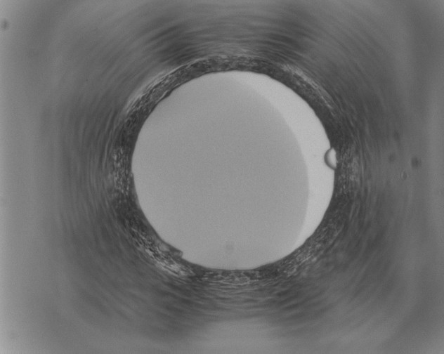 X0000075870919200610151656