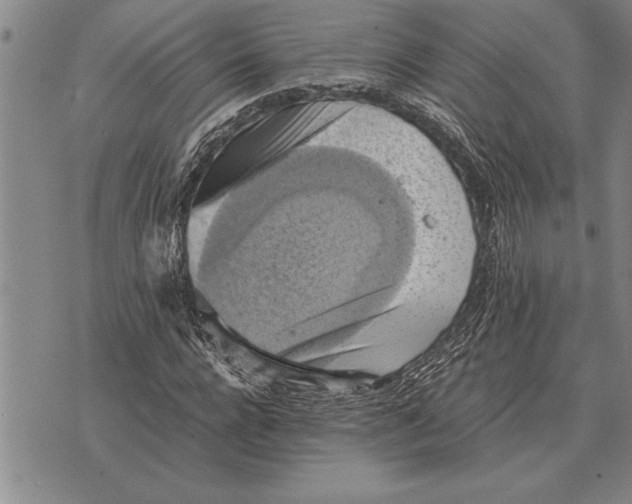 X0000075870920200610151656