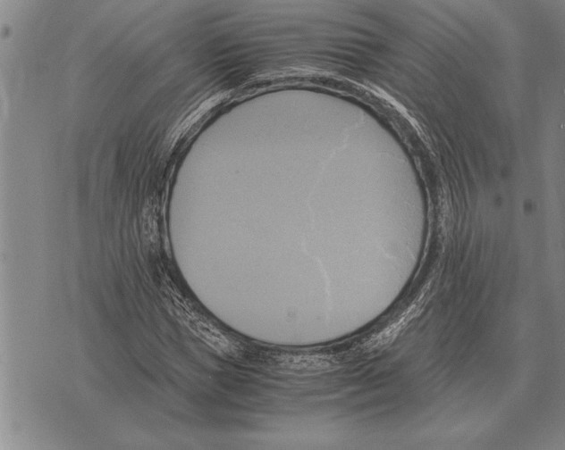 X0000075870921200610151656