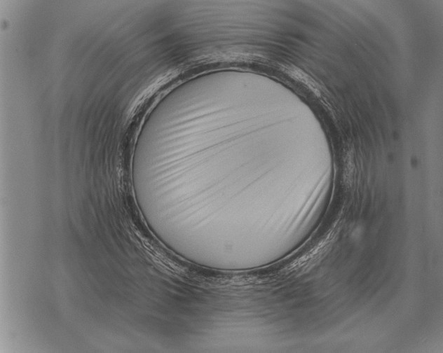 X0000075870922200610151657