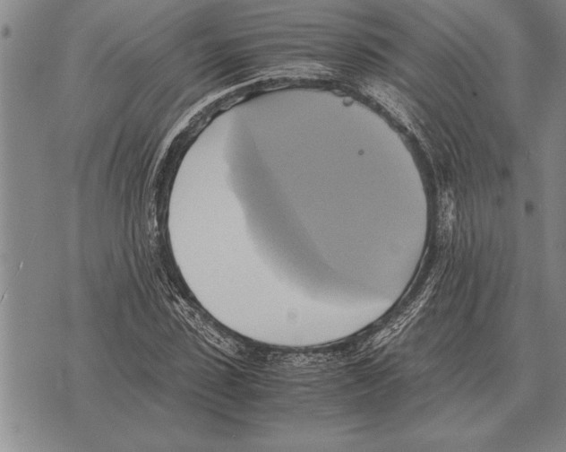 X0000075870923200610151657