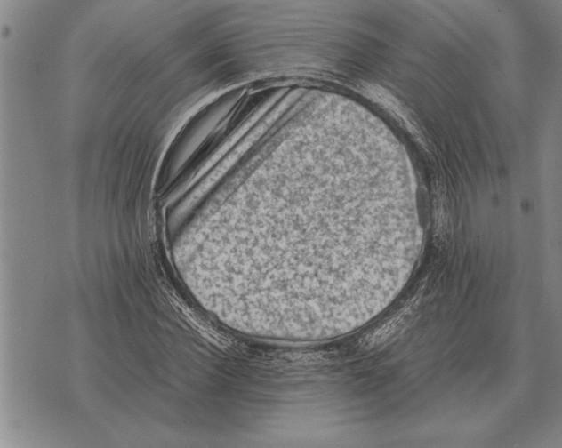 X0000075870924200610151657