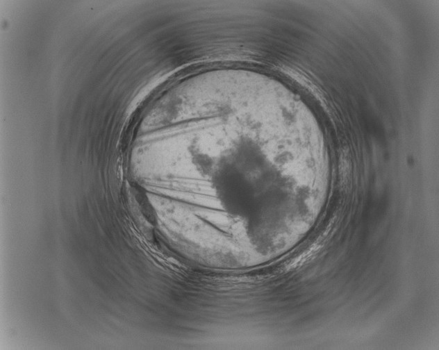 X0000075870925200610151657