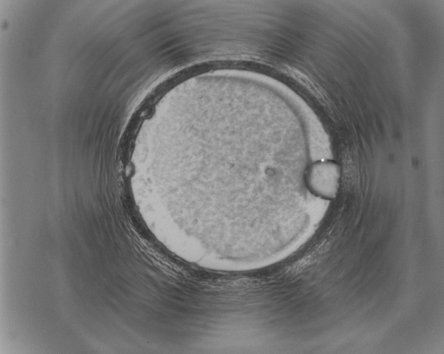 X0000075870926200610151657