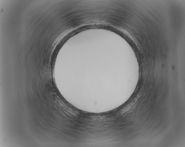 X0000075870927200610151657