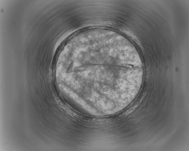 X0000075870928200610151657