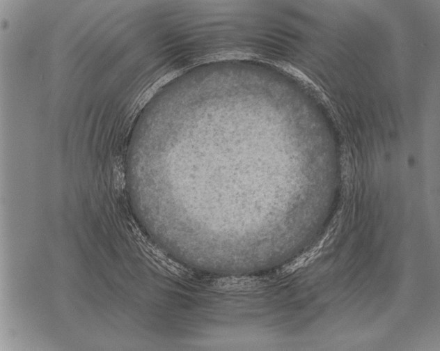 X0000075870929200610151657