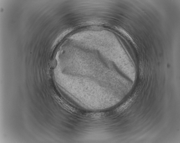 X0000075870930200610151657