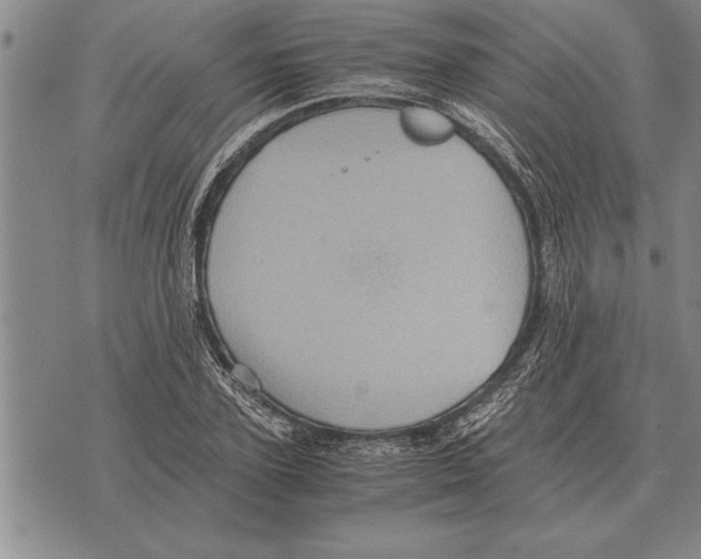 X0000075870931200610151657