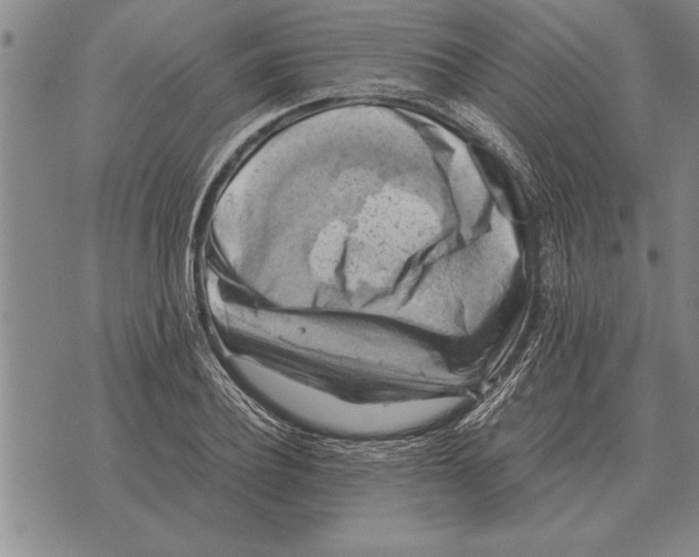 X0000075870932200610151657