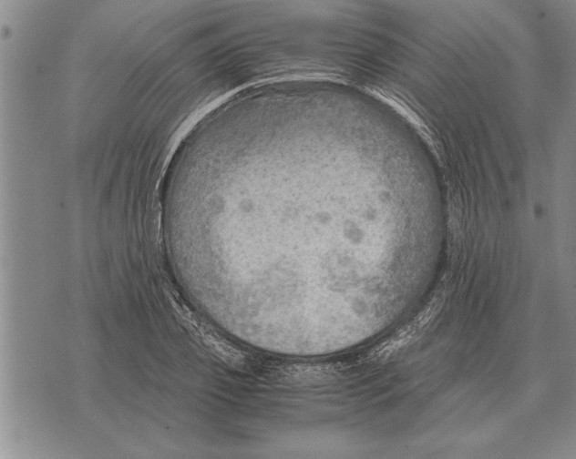 X0000075870933200610151657