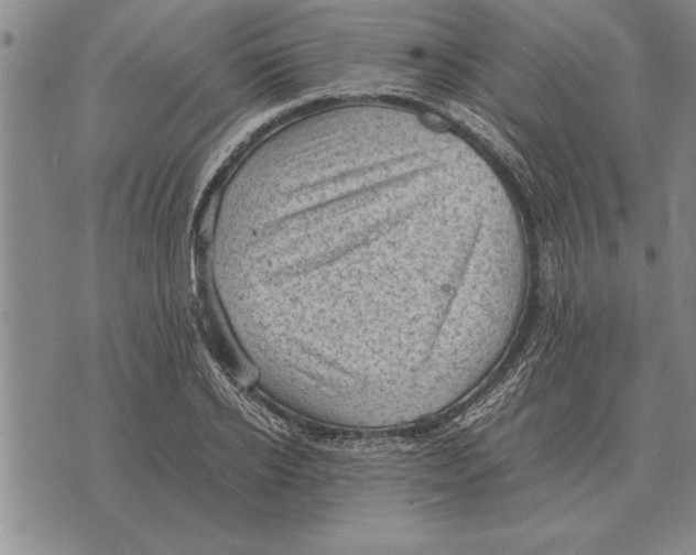 X0000075870934200610151657