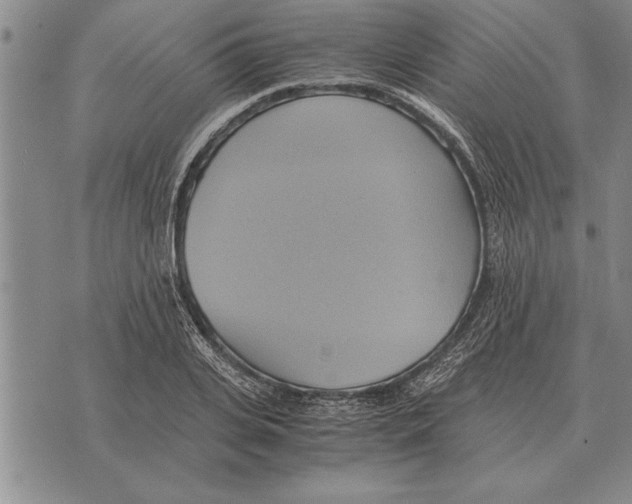 X0000075870935200610151657