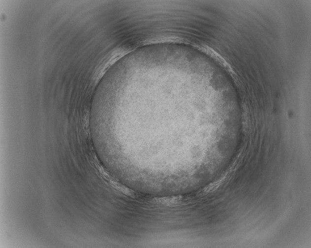 X0000075870937200610151657