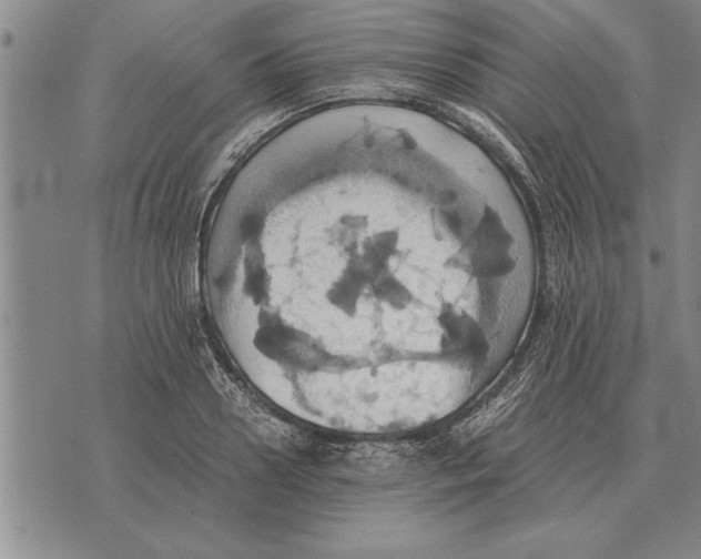 X0000075870938200610151657