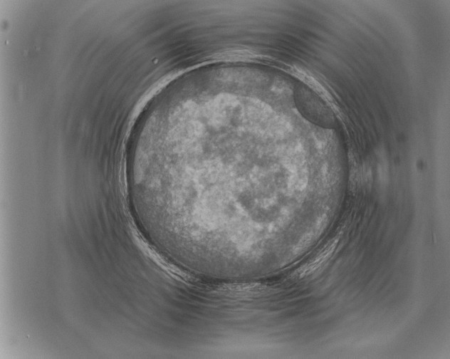 X0000075870939200610151657