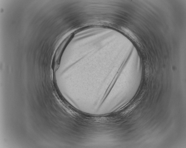 X0000075870940200610151657