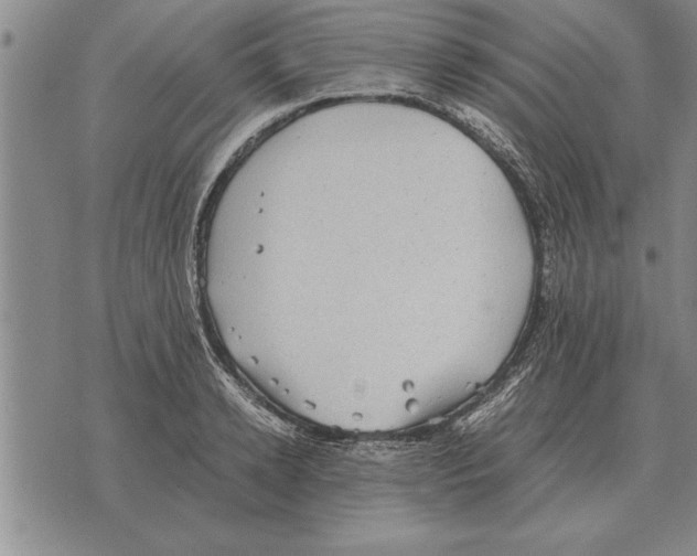 X0000075870942200610151657