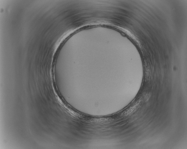 X0000075870943200610151657