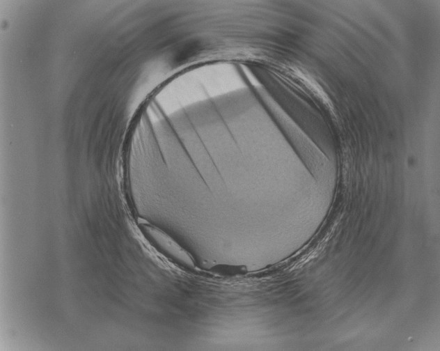 X0000075870944200610151657