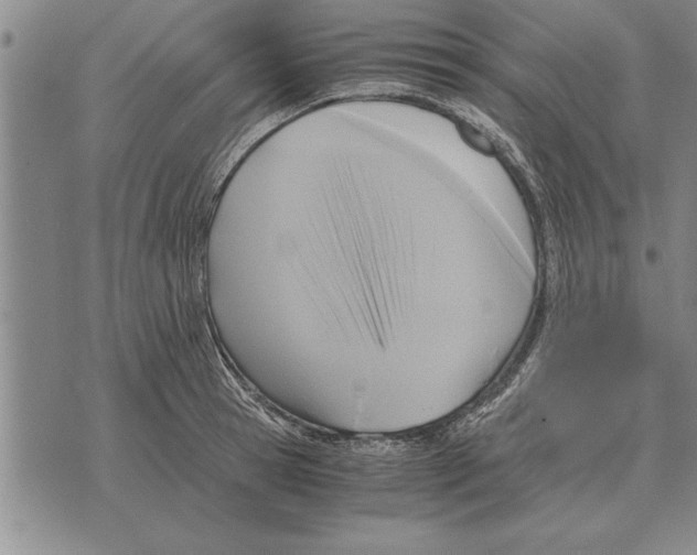 X0000075870945200610151657