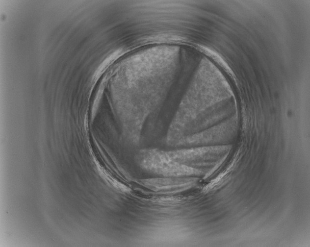 X0000075870946200610151657