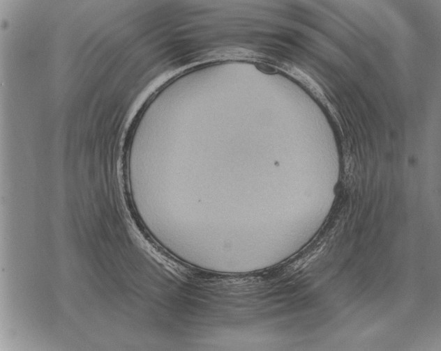 X0000075870947200610151657