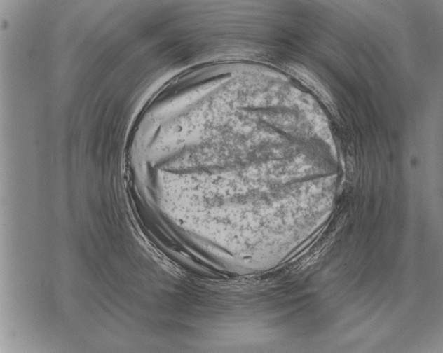 X0000075870948200610151657