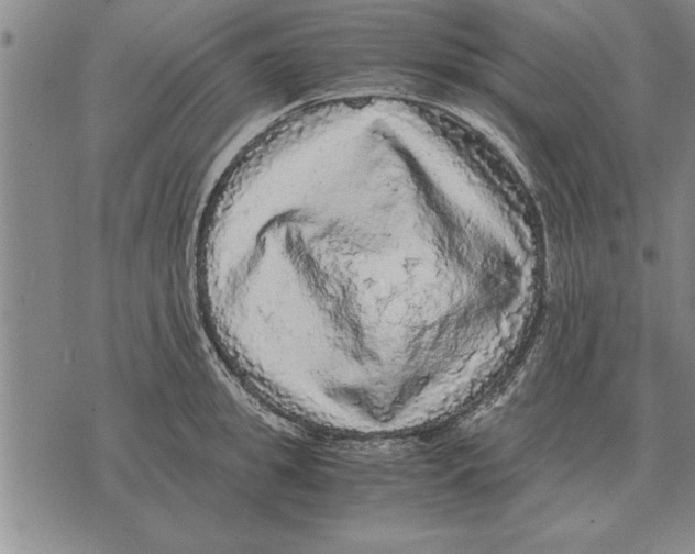 X0000075870949200610151657