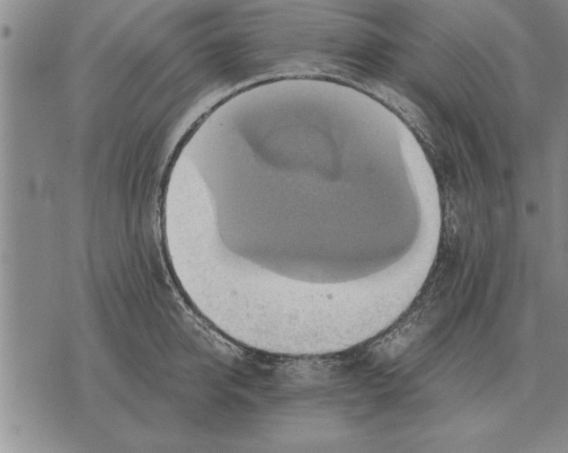 X0000075870950200610151657