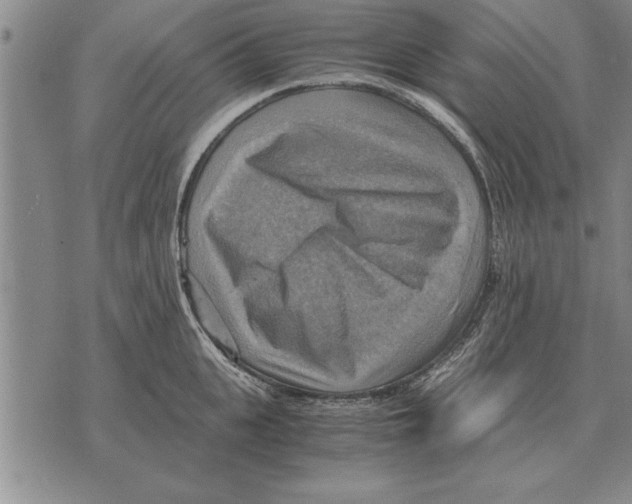 X0000075870951200610151657