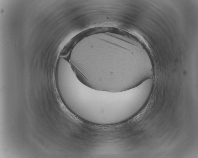 X0000075870952200610151657