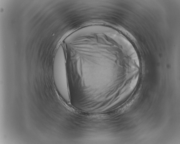 X0000075870953200610151657