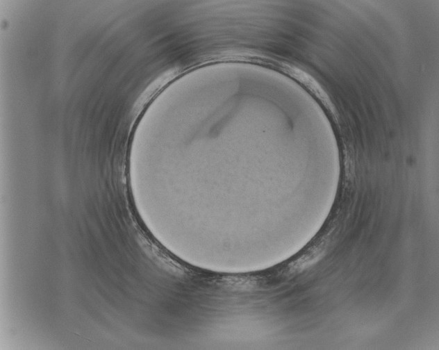 X0000075870954200610151657