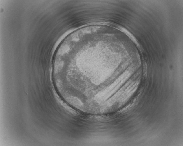 X0000075870955200610151657