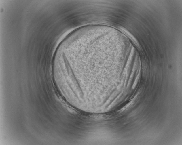 X0000075870956200610151657