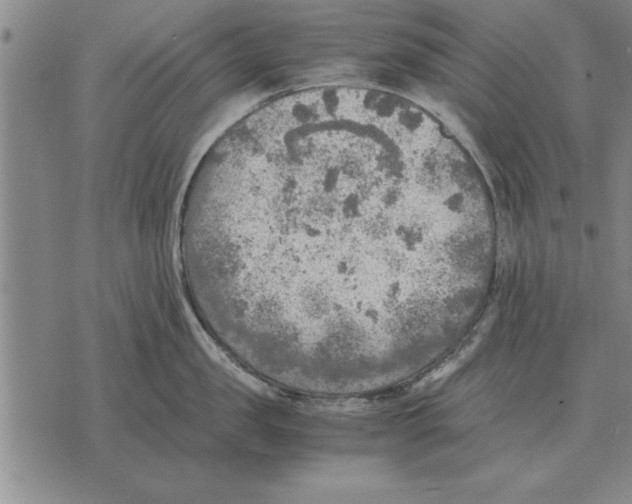 X0000075870957200610151657