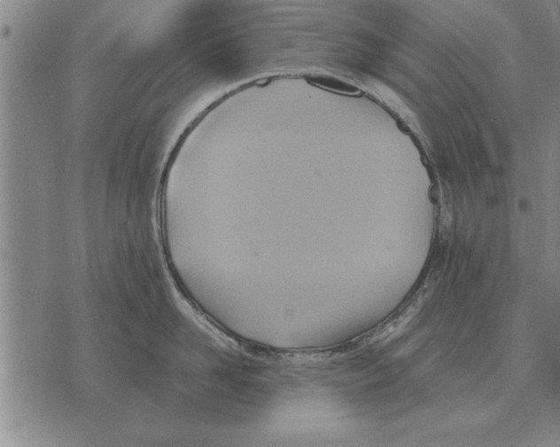 X0000075870958200610151657