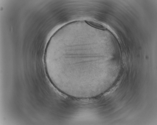 X0000075870959200610151657