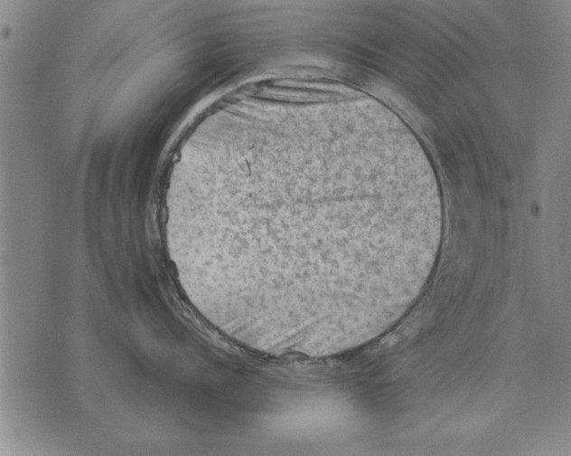 X0000075870960200610151657