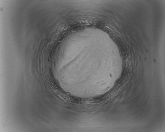 X0000075870961200610151656