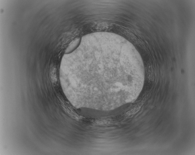 X0000075870962200610151656