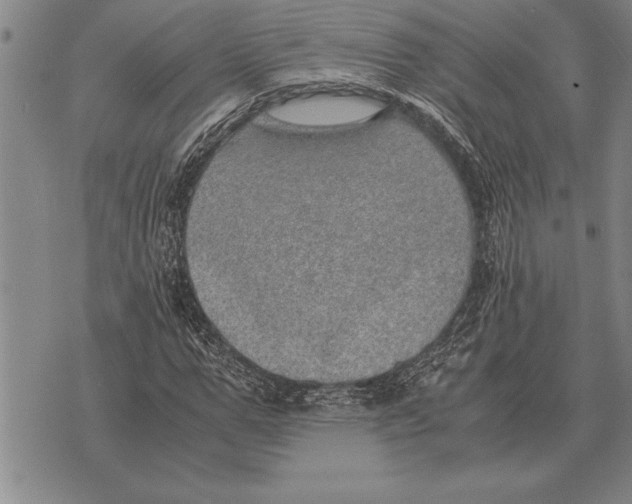 X0000075870967200610151656