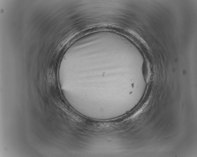 X0000075870969200610151656